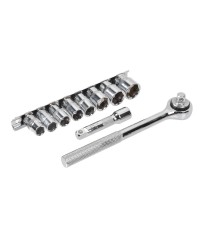 CHICHARRA, EXTENSION Y...