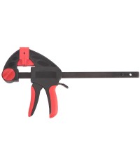 PRENSA SARGENTO LIBERACION...